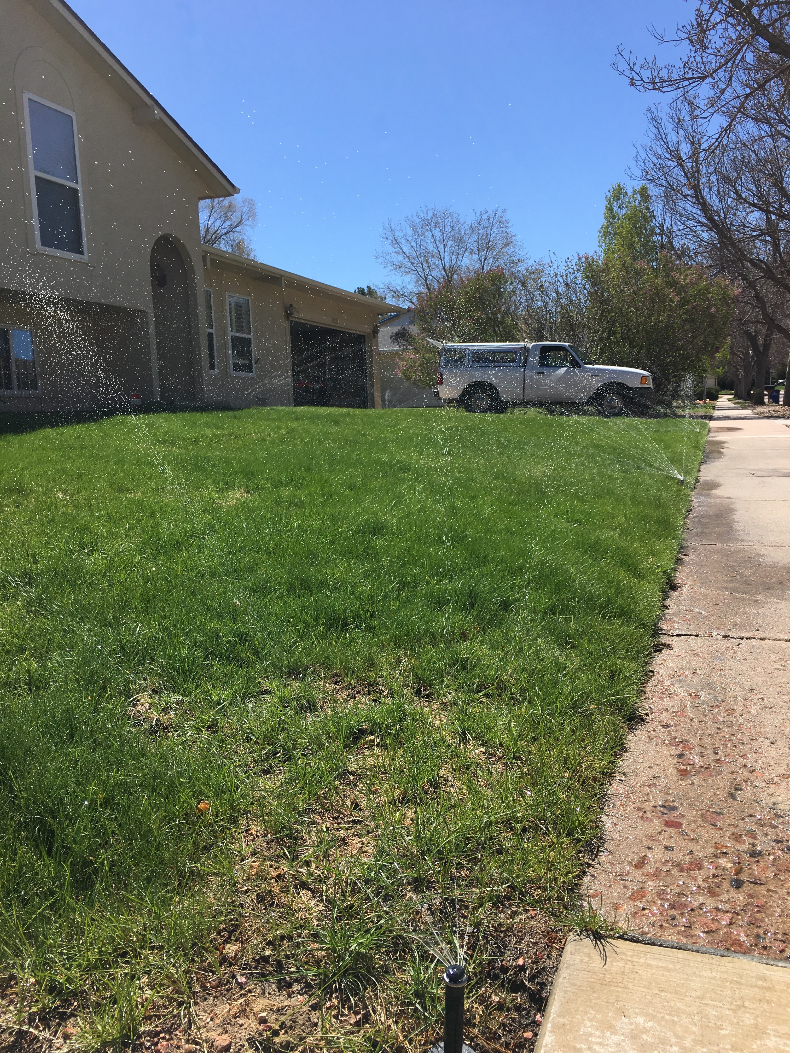IMG_4353 installing sprinkler system