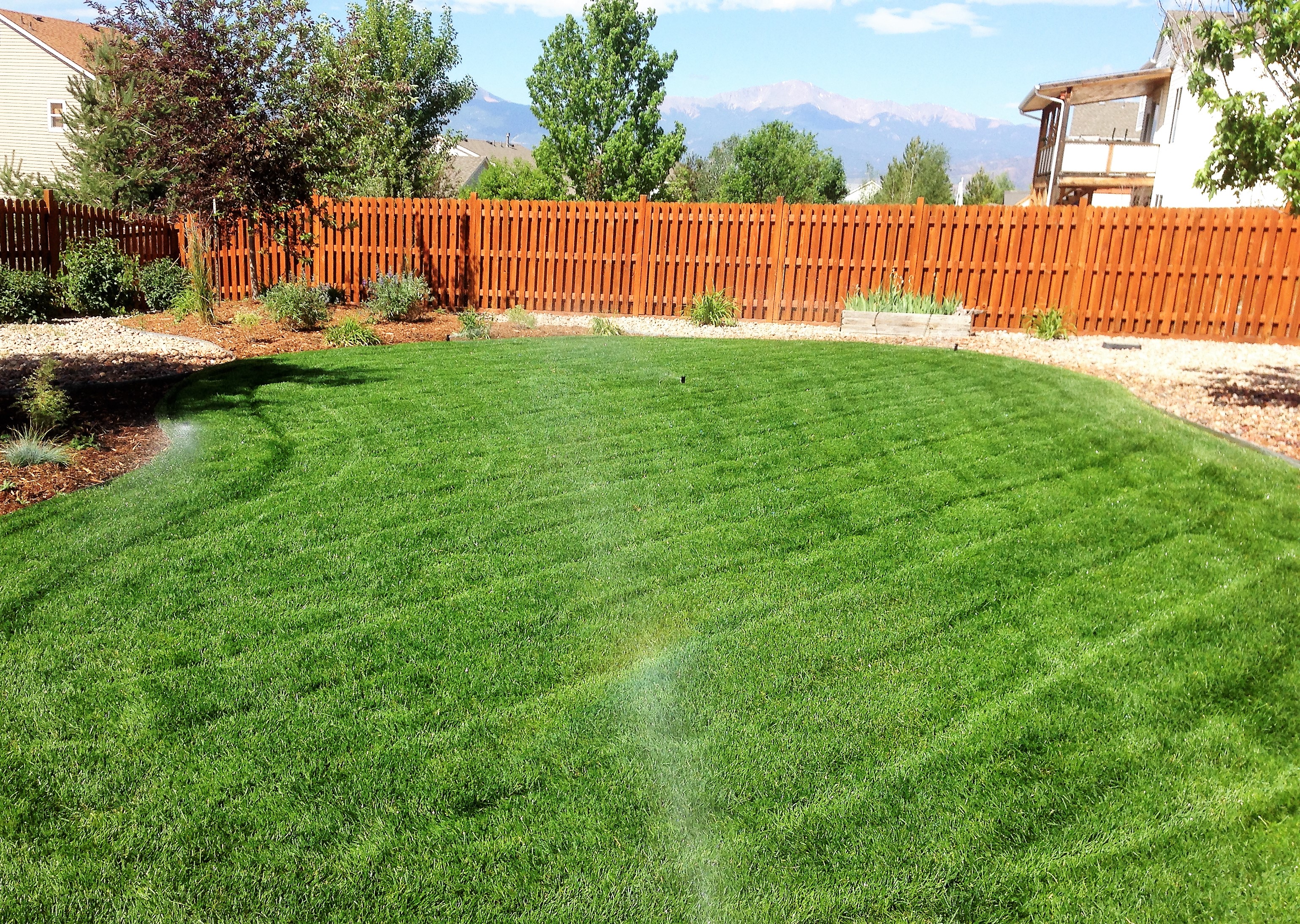 Sprinker page2 installing new sod