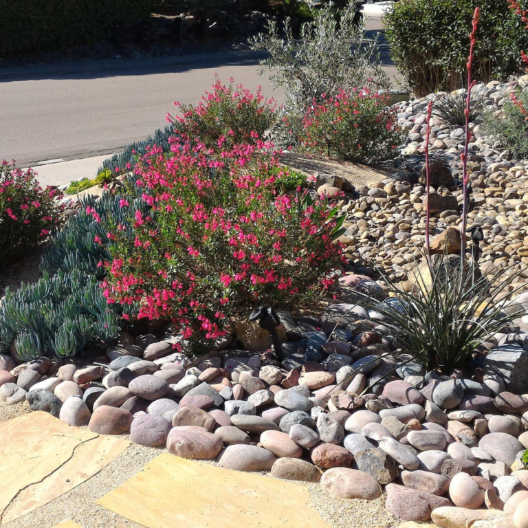 4 Benefits of Adding Xeriscaping to Your Landscape Design in Colorado