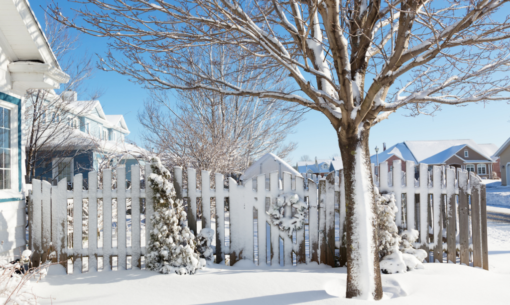 4 Ways to Prepare Your Backyard for the Winter in Colorado Springs